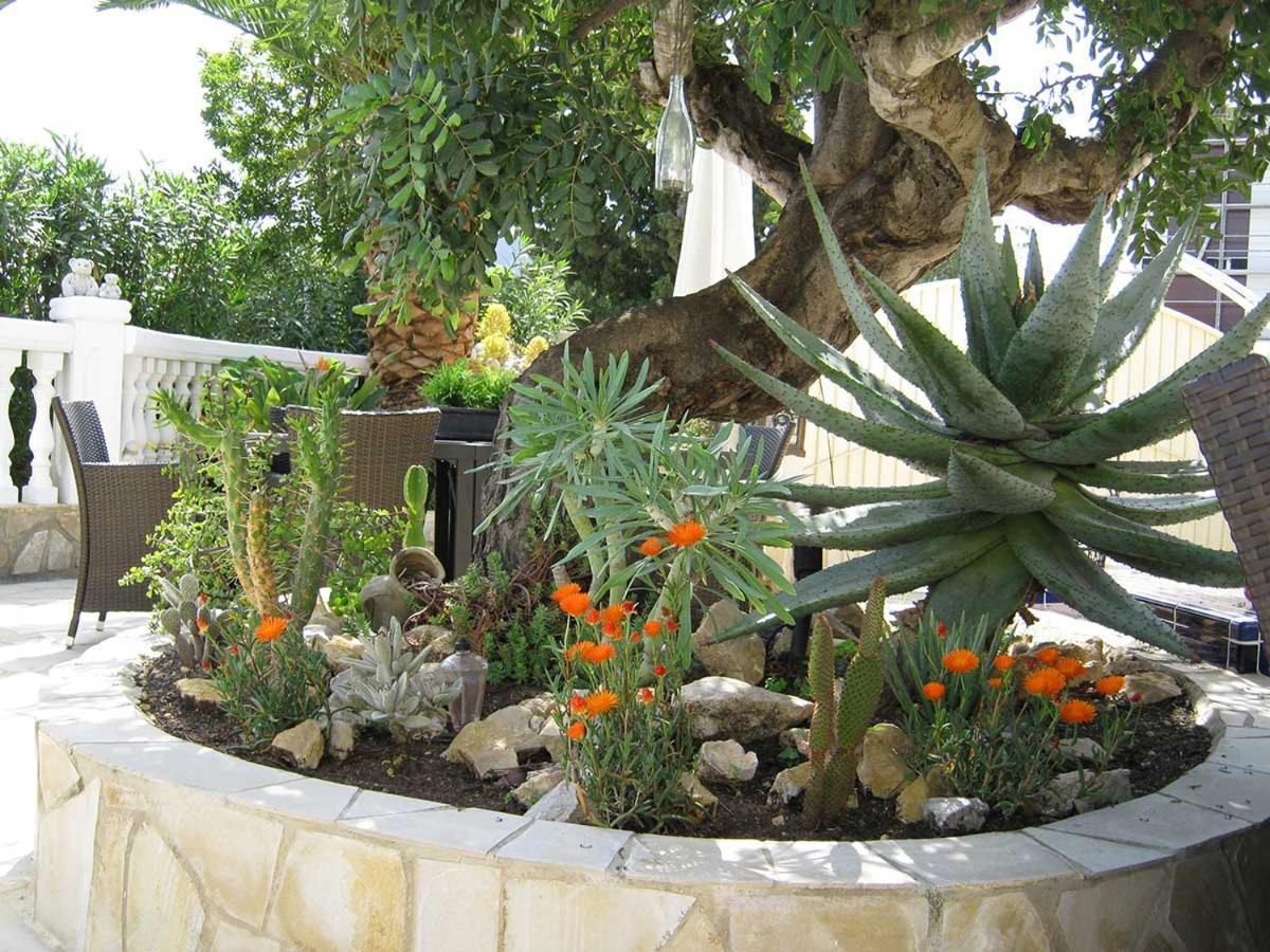 Residence Bougainville La Nucía Extérieur photo
